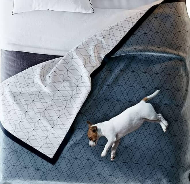 Victoria Orton Waterproof Pet Blanket for Bed